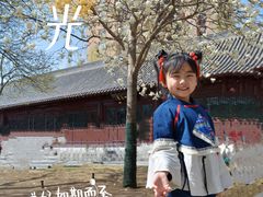 -护国法轮寺