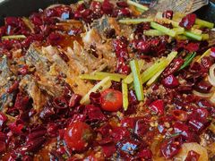 -老板恋上鱼(恒隆广场店)