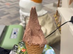 -野人先生现做冰淇淋(北京顺义祥云小镇店)