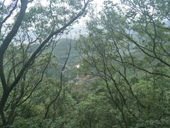-雨花胜境