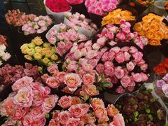 -双季花艺园艺市场(浦东店)
