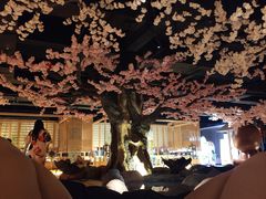 -蓝鲸湾汤泉(包河店)