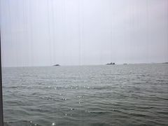 -滕州微山湖红荷湿地景区