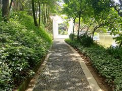 -广州市帽峰山景区