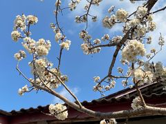 -樱桃山旅游景区