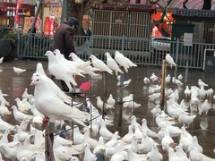 -绵阳人民公园(涪城区)