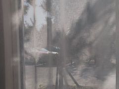 -中国油画院咖啡馆