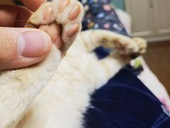 -黄阿姨锅贴大王(万航渡路店)