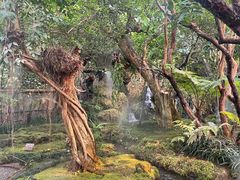 -Chom Cafe and Restaurant