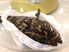 -澳门环岛游湾仔码头