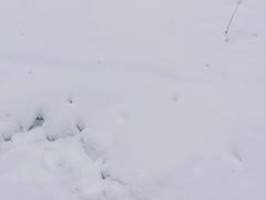 -太子岭滑雪场