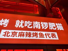 -南锣肥猫·麻辣烤鱼·16年现烤现卖(财富购物中心店)