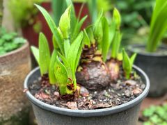 -凤来栖·净庭院·火锅(欧尚店)