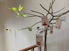 -Oasis coffee燕谷咖啡(公信店)