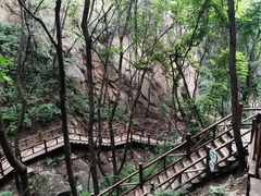 -大岭沟猕猴桃谷风景区