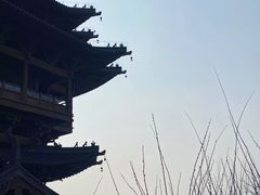 -杭州半山国家森林公园