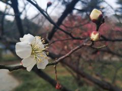 -山东大学(趵突泉校区)