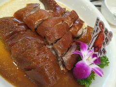 -濠景渔港(汇通店)