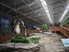 -中国第四纪冰川遗迹陈列馆