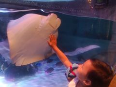 -沈阳海洋探索中心