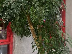 -马路边边麻辣烫联盟路店