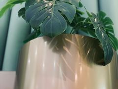 -奈雪的茶(百盛店)
