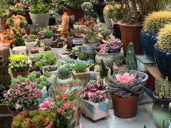 -双季花艺园艺市场(浦东店)
