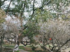 -白马涧龙池景区