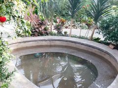 -南宫温泉水世界