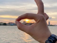 -more than meow吴止猫主题餐厅(承德 中船汇店)