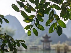 -靖西鹅泉风景区
