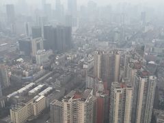-339旋转餐厅(天府熊猫塔店)
