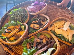 -滇野云南野生菌餐厅(陕西南路店)