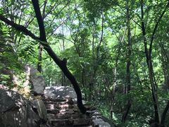 -大岭沟猕猴桃谷风景区