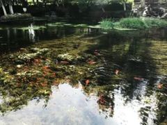 -水磨沟公园