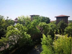 -上海崇明金茂凯悦酒店