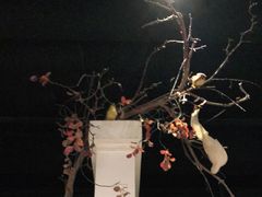 -春天来了(印象新天地店)
