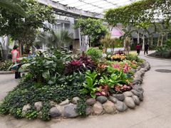 -北京植物园-展览温室