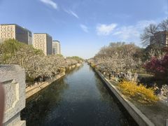 -元大都城垣遗址公园