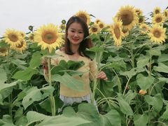 -映月湖中央公园
