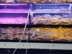 水产区-聚百鲜海鲜烧烤私房菜(韩乐坊店)