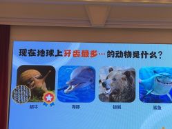 -奈尔宝家庭中心·亲子餐厅(北京东坝万达店)