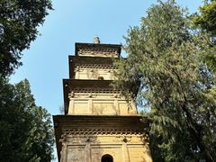 -兴教寺