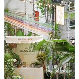 春天开在了花里花俏的地方💐