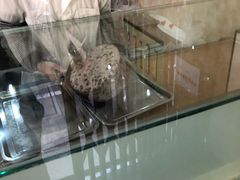 -杨招娣糕点(装驾桥巷店)