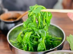 时令蔬菜-攀枝花·任德琼·盐边羊肉米线