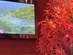 -老湘亲·品鉴湘菜(蔡塘爱琴海店)