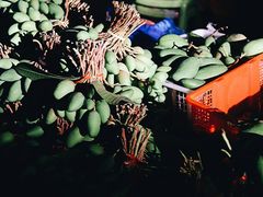 -曼阁市场水果批发市场