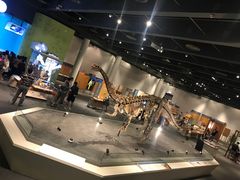 -香港科学馆