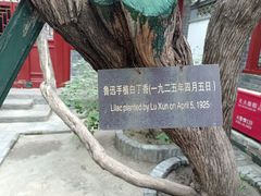 -北京鲁迅博物馆(北京新文化运动纪念馆鲁博馆区)